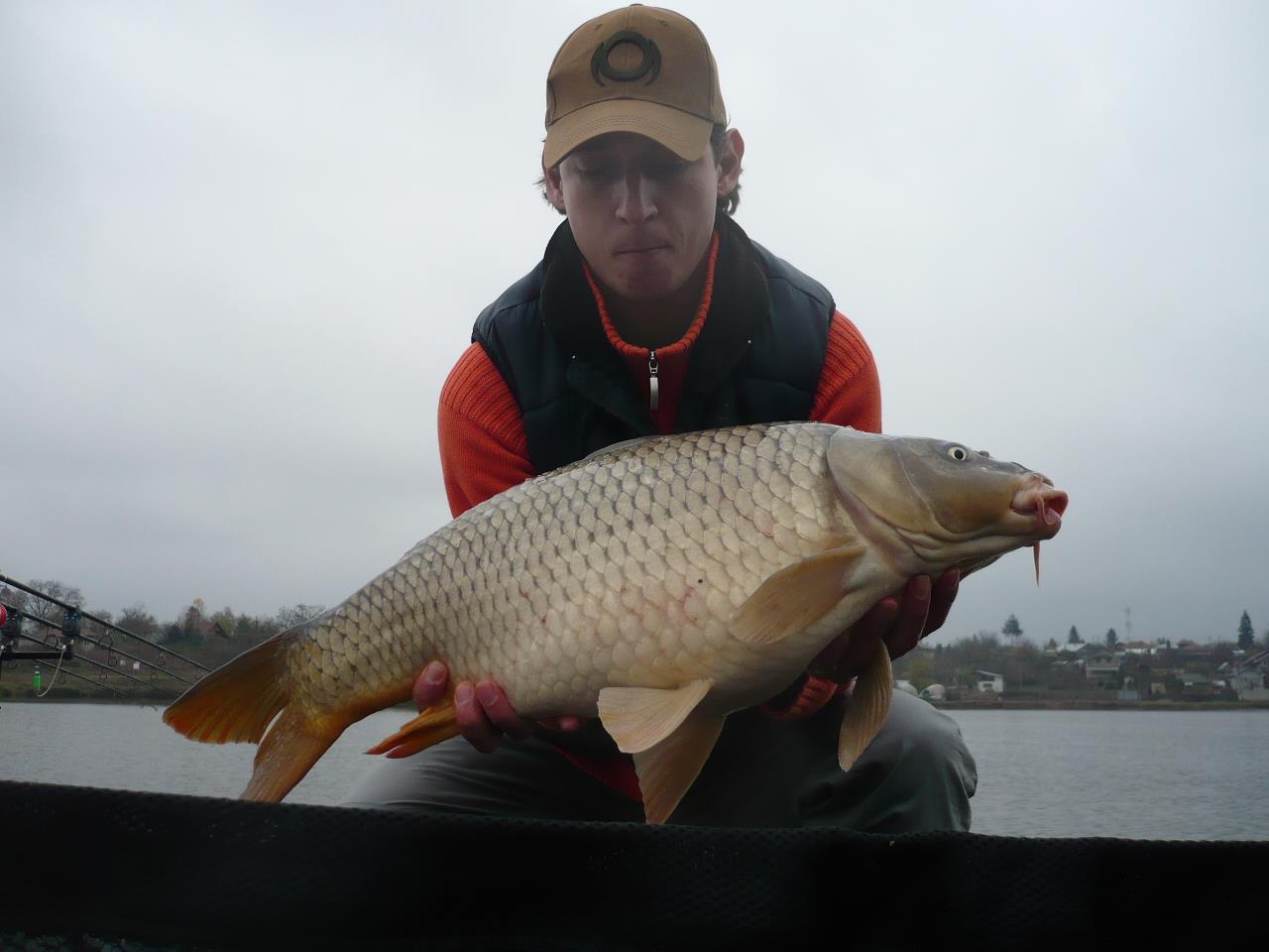 MV 2 - 12.NOI.2014 - p1020941.JPG